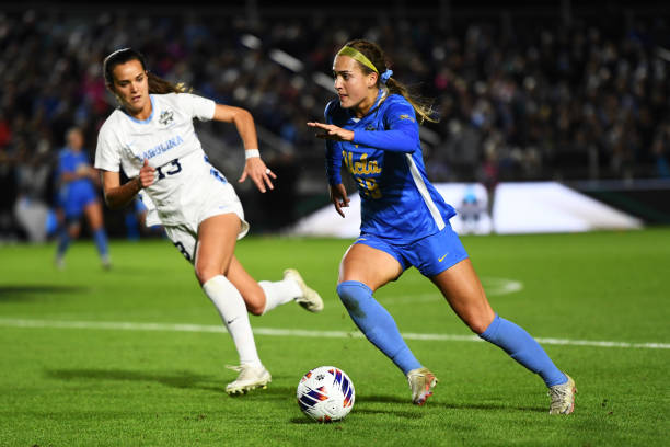 展示了如何 展示了如何