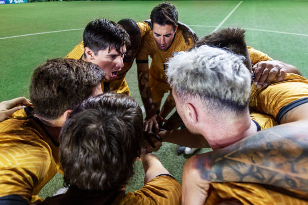 提供了坚实 提供了坚实