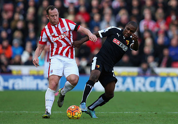 森林狼的最 森林狼的最